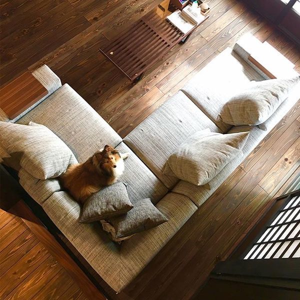 東京銀座ショールームコーディネート予約