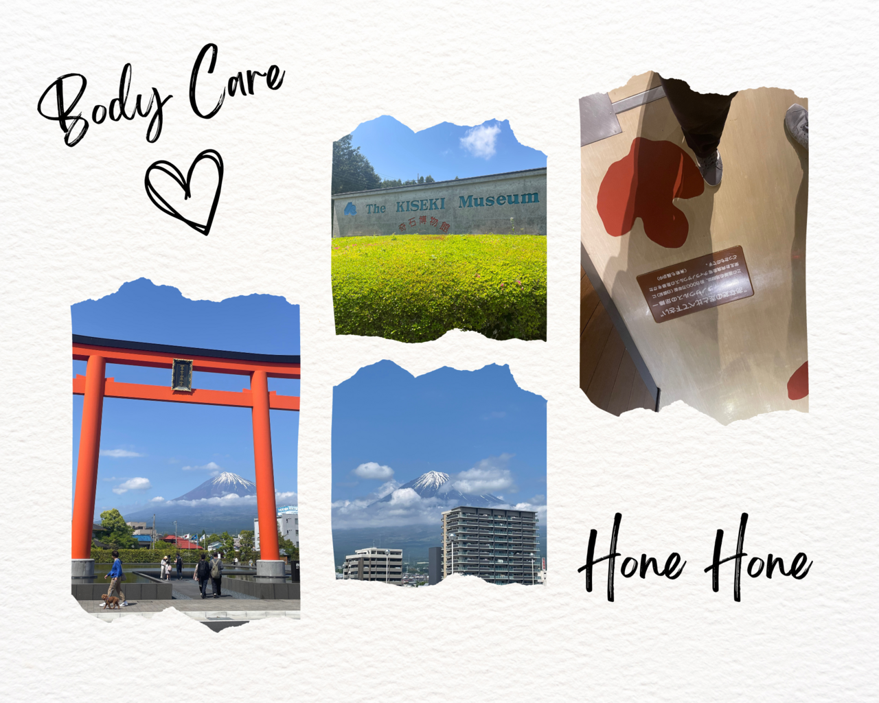 ホネホネ予約ページ