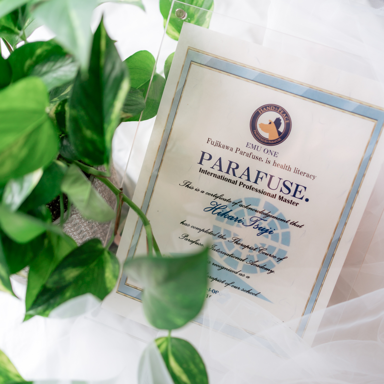 脳洗浄®︎100分