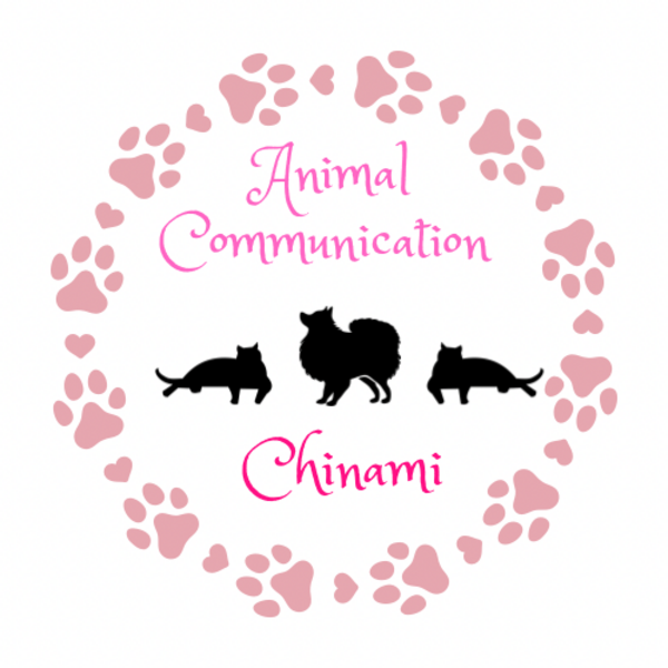 《オンライン》アニマルコミュニケーション