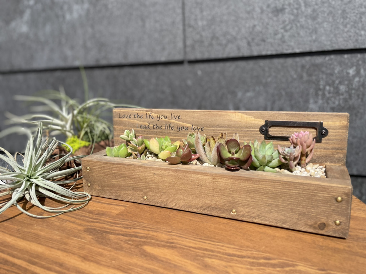 ☆多肉植物 寄せ植え〜手作り木製カート寄せ〜☆ 【公式通販】