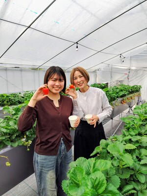 【いちご狩り・40分食べ放題】