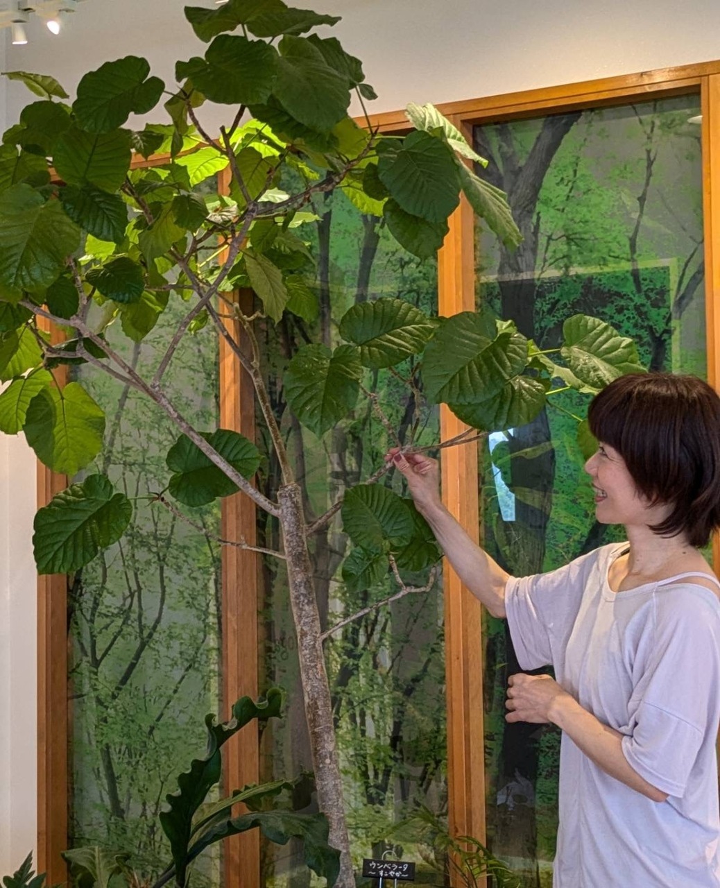 【姫路南(飾磨)】 ジョイントバランスヨガ(さとみ)