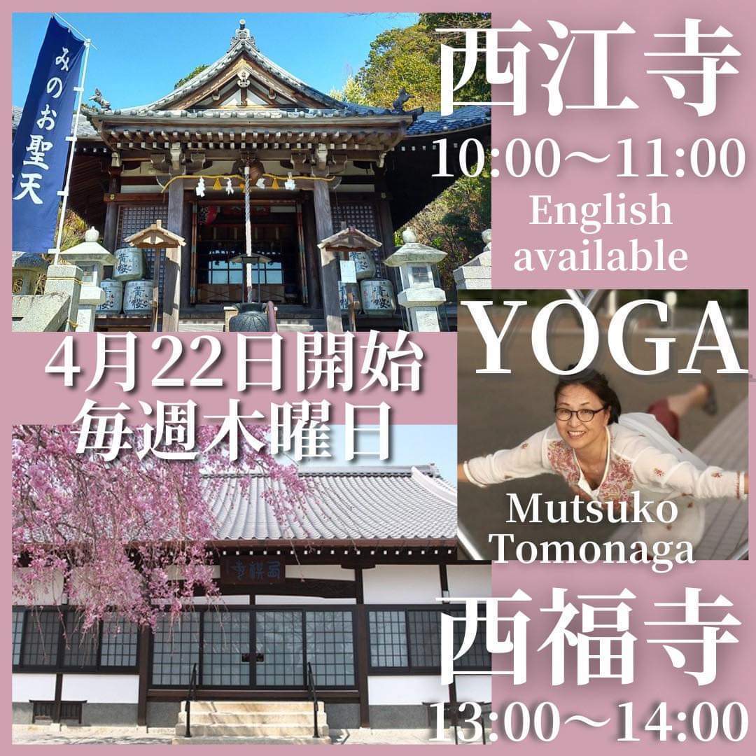 平日のヨガ午前