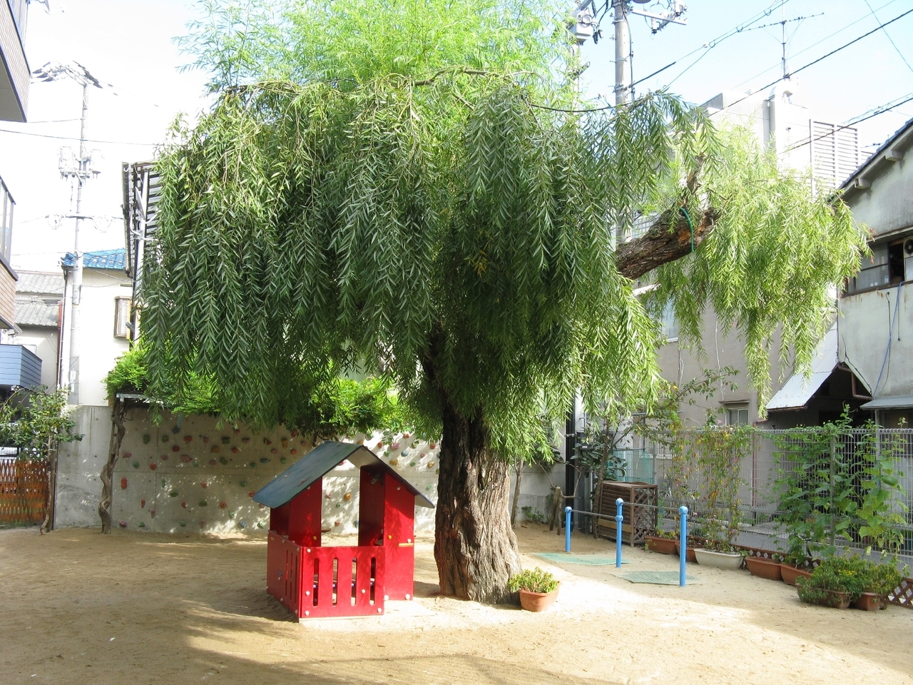 こども園へ行こう週間