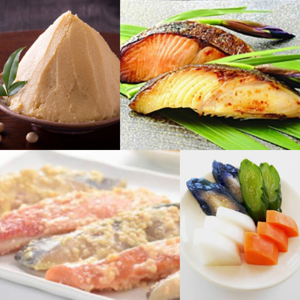 発酵シリーズ 酒粕と西京味噌作り 魚の粕漬けを作ろう