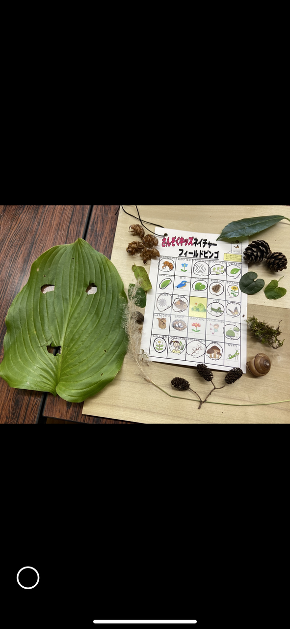 親子の愉快な自然あそび