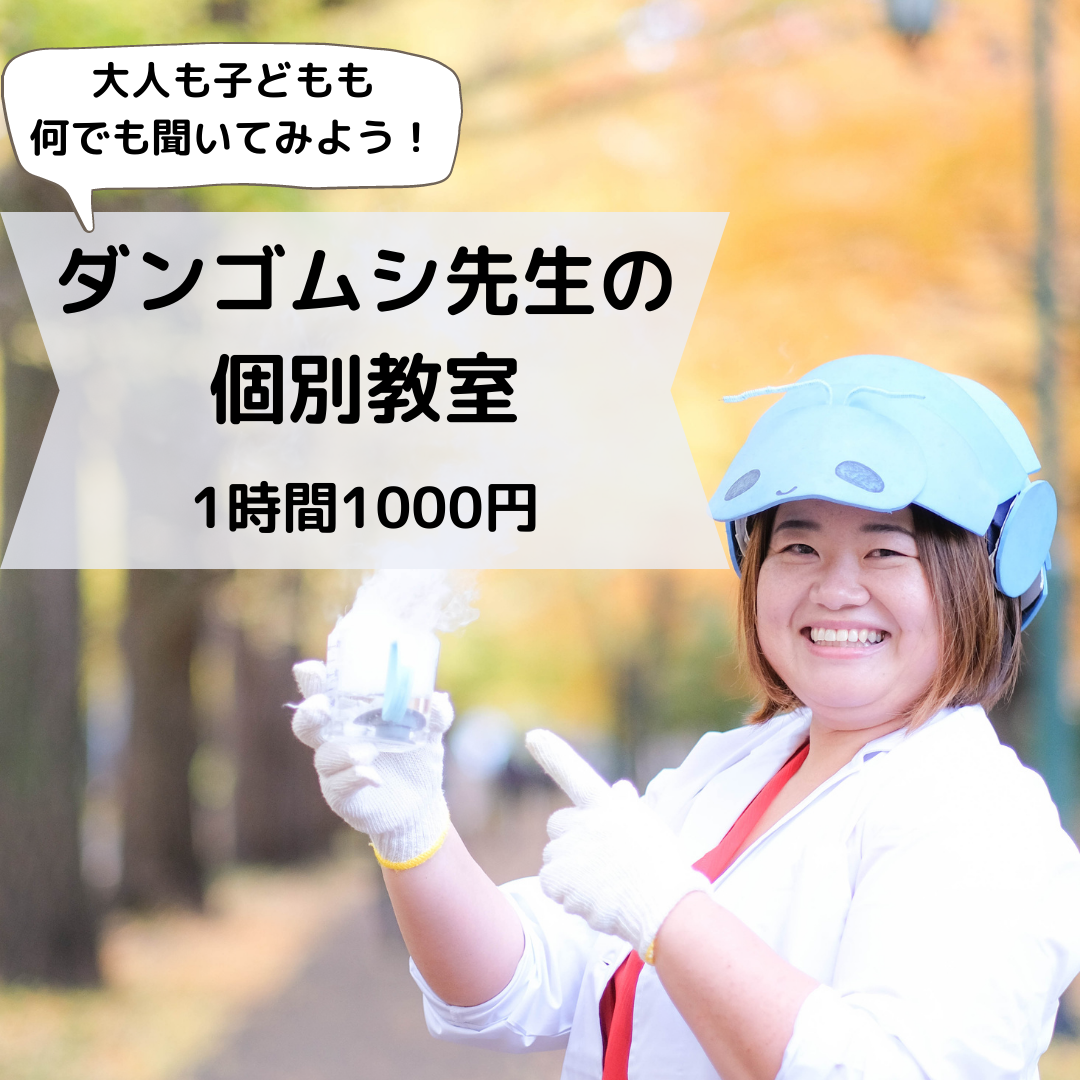 ダンゴムシ先生の個別教室～1時間1000円