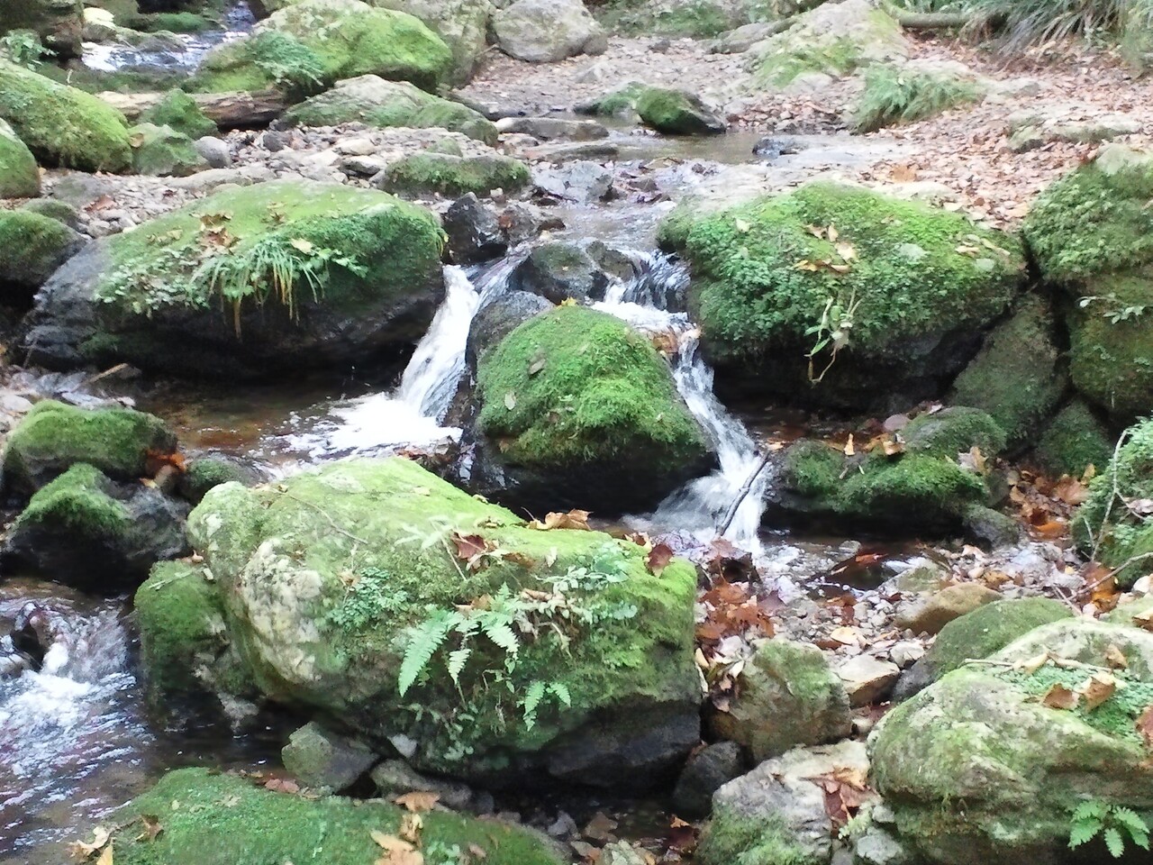 パーソナル/セミプライベート