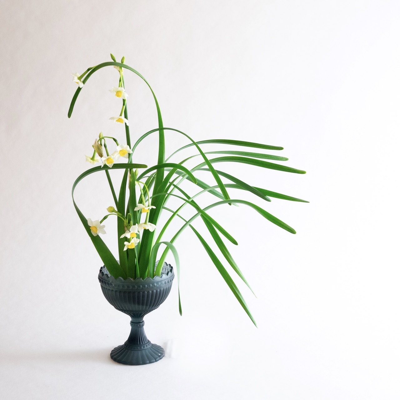 華道家・大谷美香の 表参道生け花教室の予約サービス