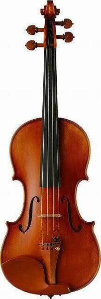 ヴァイオリントライアルレッスン予約