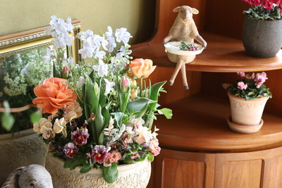 【大阪】Diplomaプロ