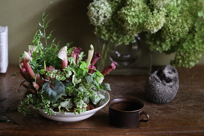 【大阪】Diplomaプロ