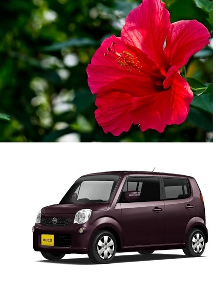 【石垣島営業所】軽自動車：日産モコなど 