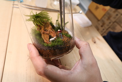 【いよてつ髙島屋】基礎編 インテリアに映える苔テラリウムワークショップ