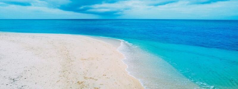 50代からの体作り