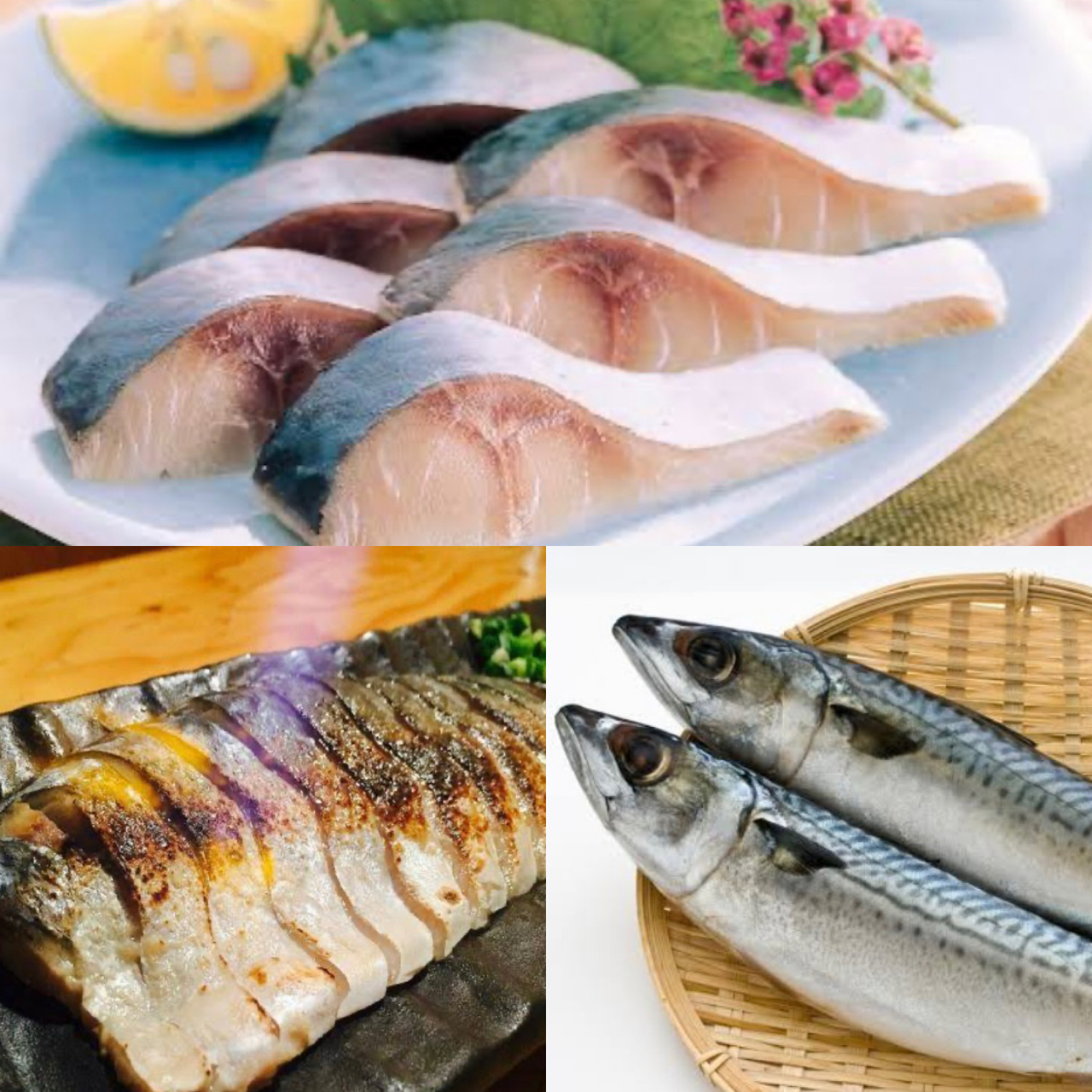 冬季限定 しめ鯖を作りお持ち帰り!