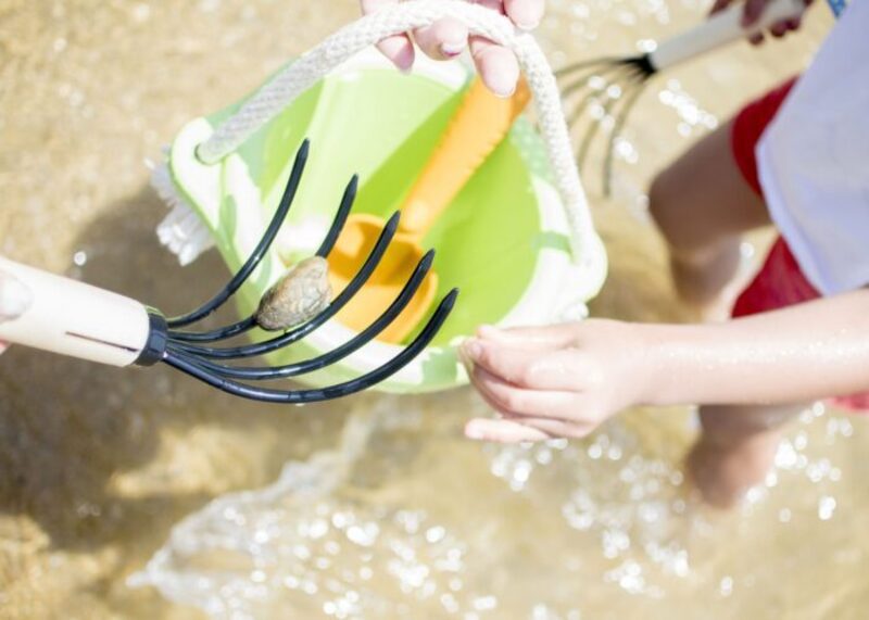 【練馬区石神井】海フェア！～潮干狩り体験～｜2023年5月7日(日)