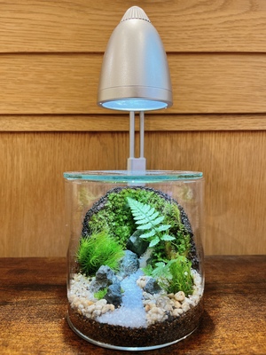 【 渋谷ヒカリエ 】壁面緑化編　苔テラリウムワークショップ　Feel The Garden