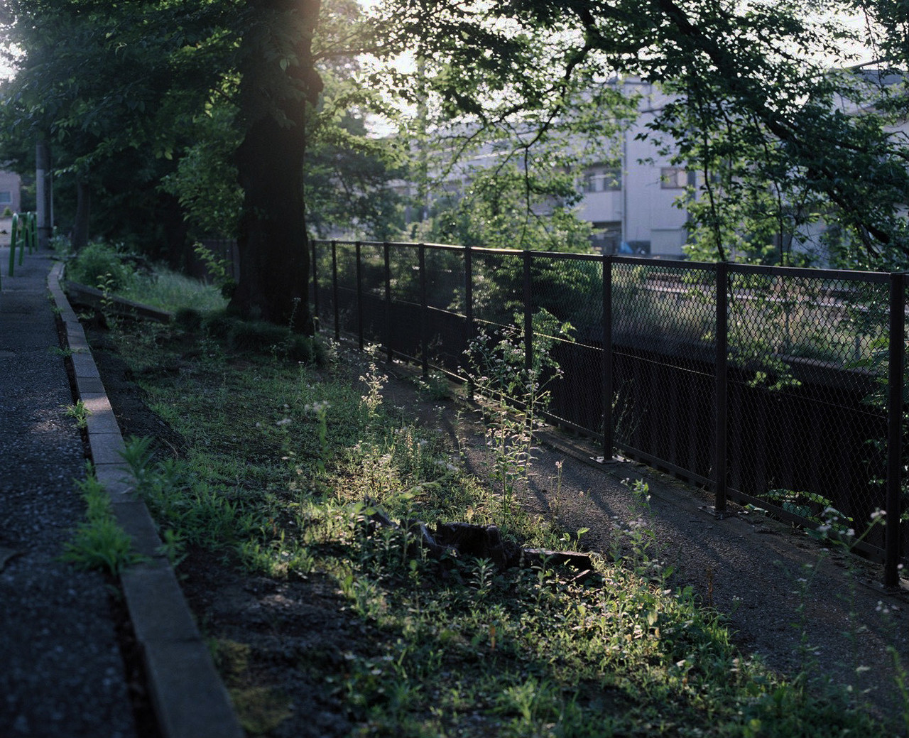 木村和平「対話からうまれる写真」