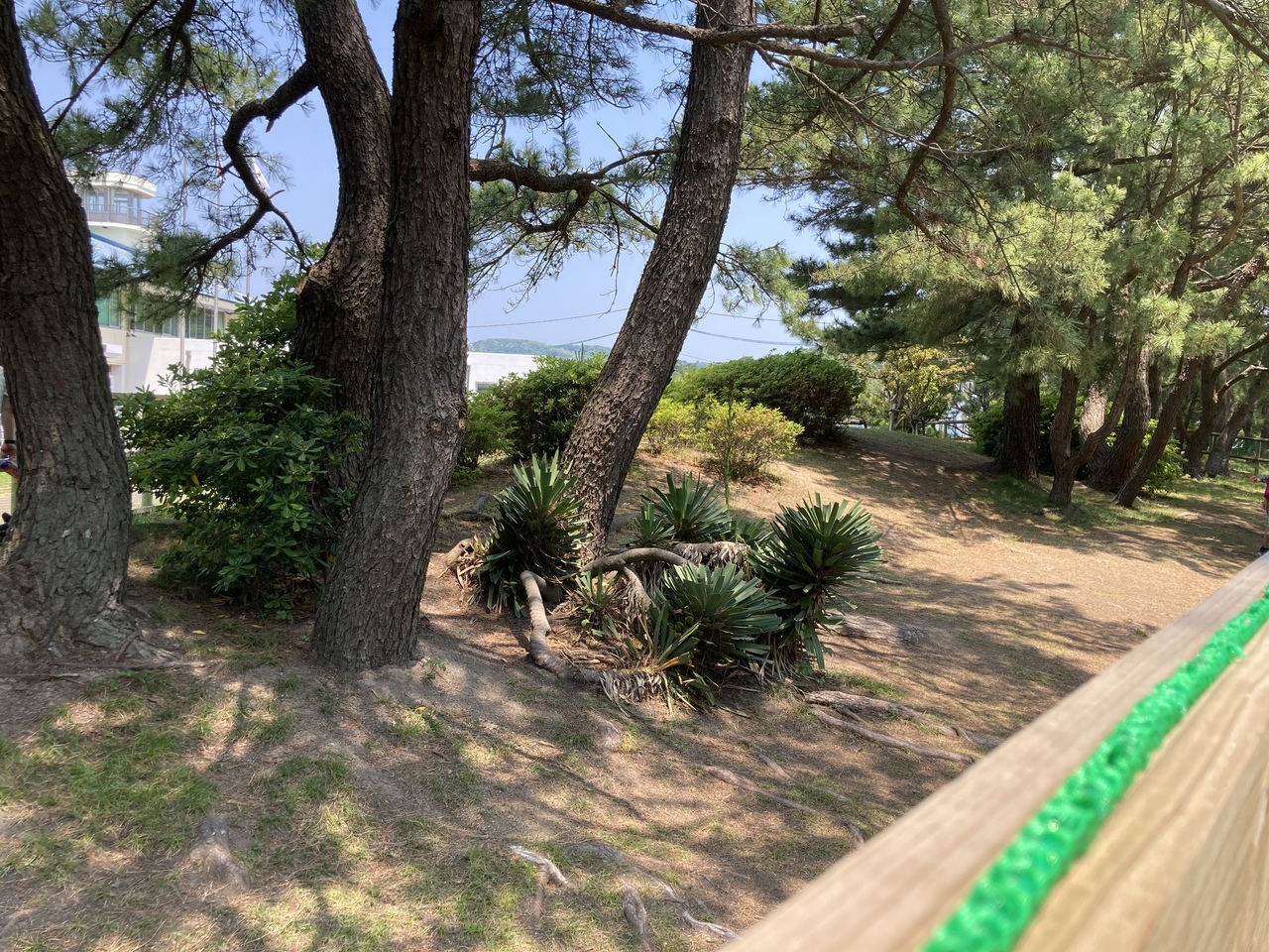 FODG貸切予約（ワイルドエリア）