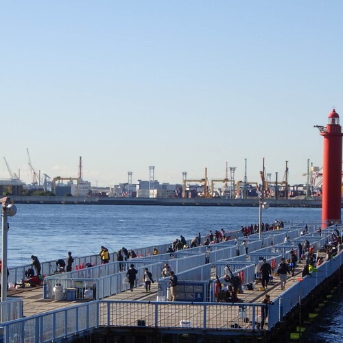 大黒海釣り施設が事前予約制に！！予約方法を詳しく解説！