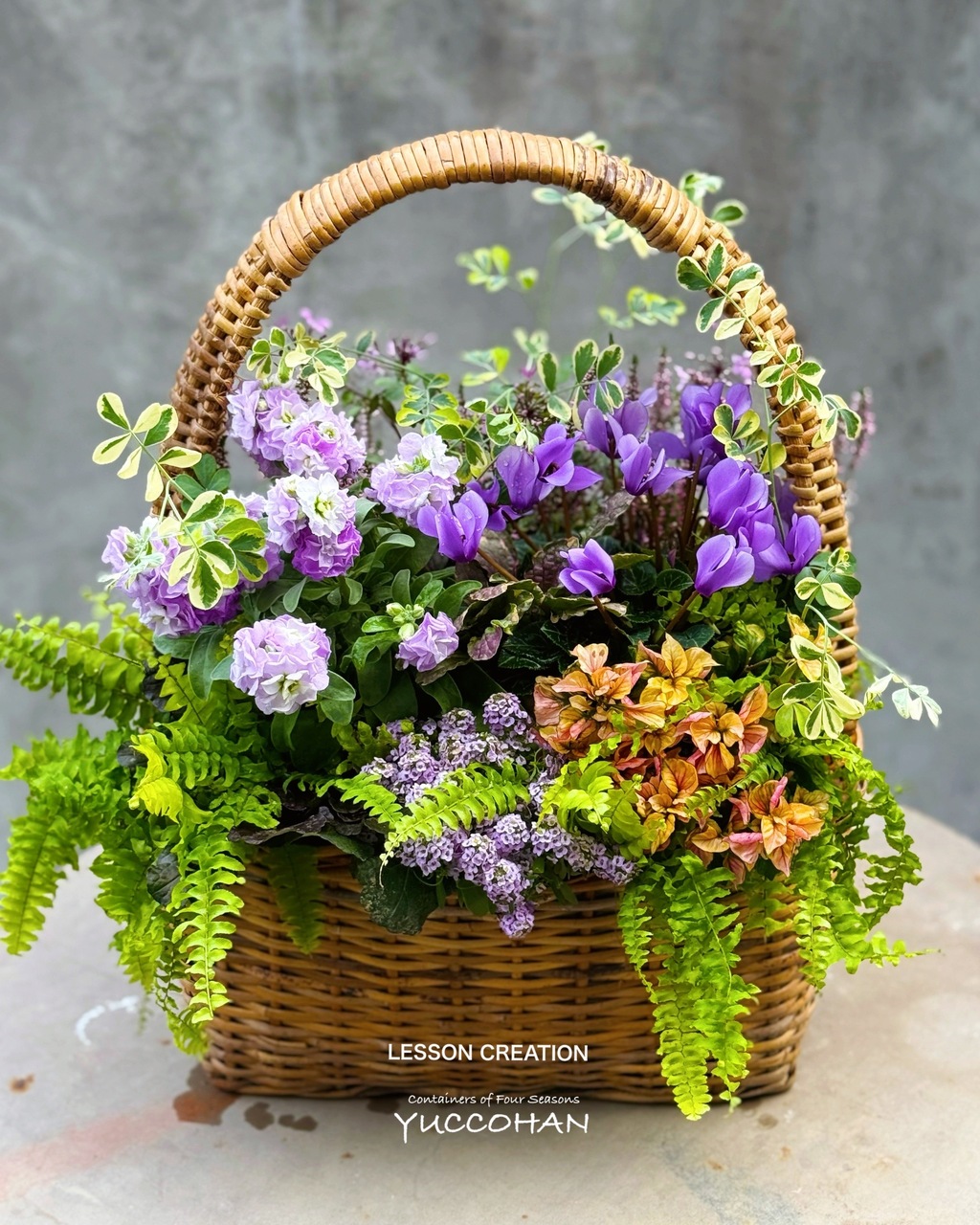 1dayレッスン・体験レッスン