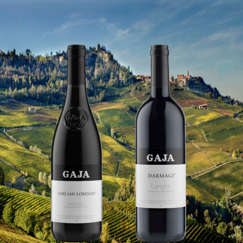 2015年 イタリアワインの帝王ガヤ』2銘柄飲み比べ