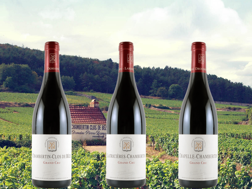 『2019年　ジュヴレ・シャンベルタン村　特級畑』3銘柄