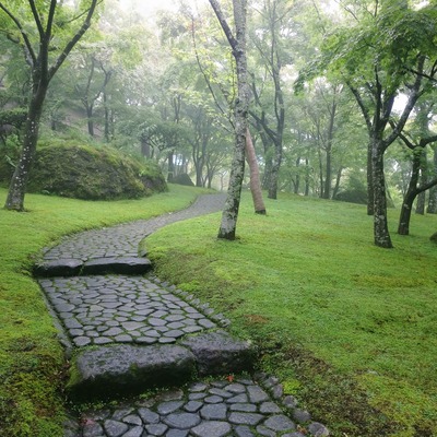 【箱根】藤井久子さんゲスト苔観察会 Moss Walk ☆Let us cling together☆