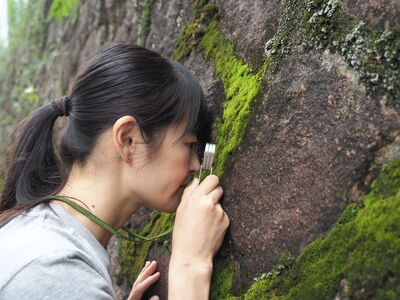 【箱根】藤井久子さんゲスト苔観察会 Moss Walk ☆Let us cling together☆