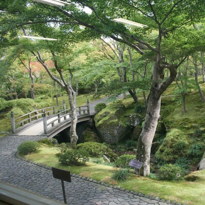 【箱根】藤井久子さんゲスト苔観察会 Moss Walk ☆Let us cling together☆