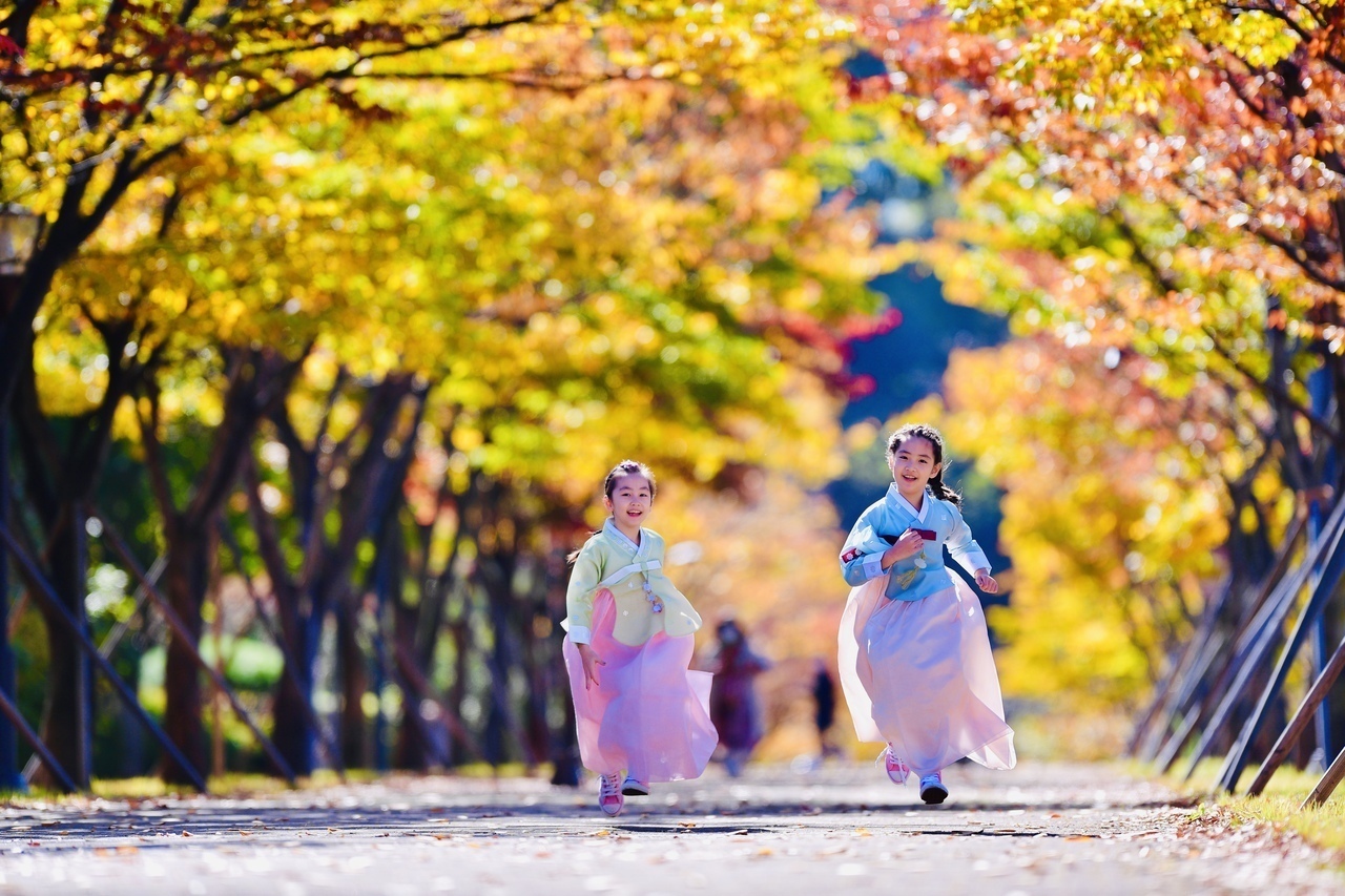 無料体験レッスン予約受付(50分コース)