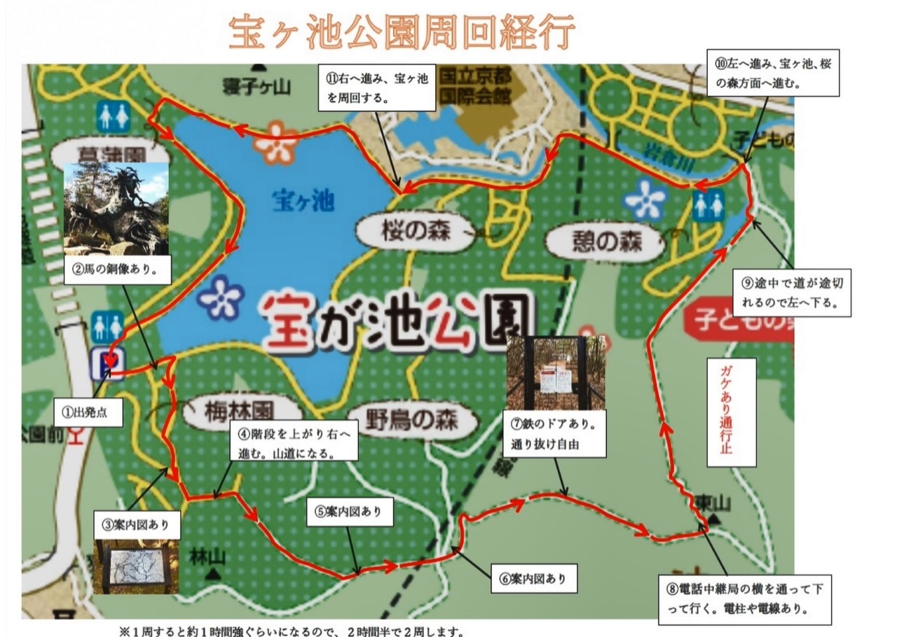 ヨガレッスン①