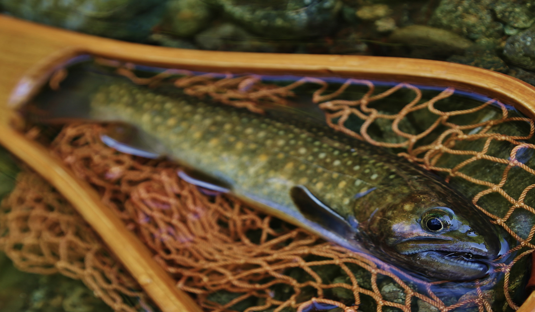 【2022/9/3(土)】吉田毛鉤のステップアップ向けテンカラ毛バリ巻き教室