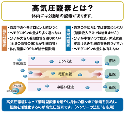 【健康の基礎】高気圧酸素ボックス利用予約