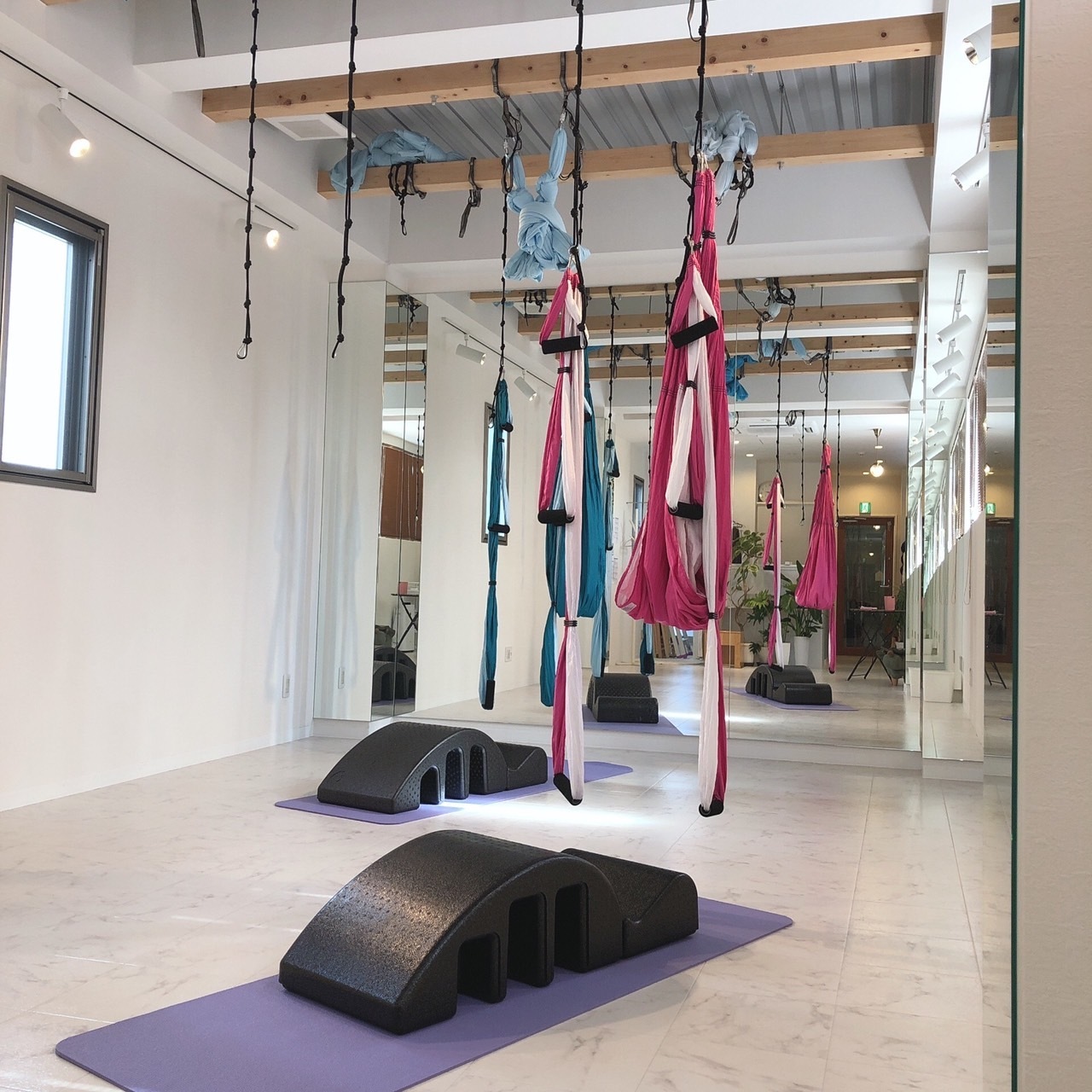 【スパインコレクター＆シルクサスペンション】AKI　