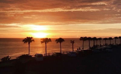 奄美大島・ヨロン島専門の旅行会社　お電話やZOOMでのご相談・お打合せ予約