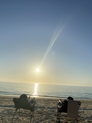 奄美大島・ヨロン島専門の旅行会社　お電話やZOOMでのご相談・お打合せ予約