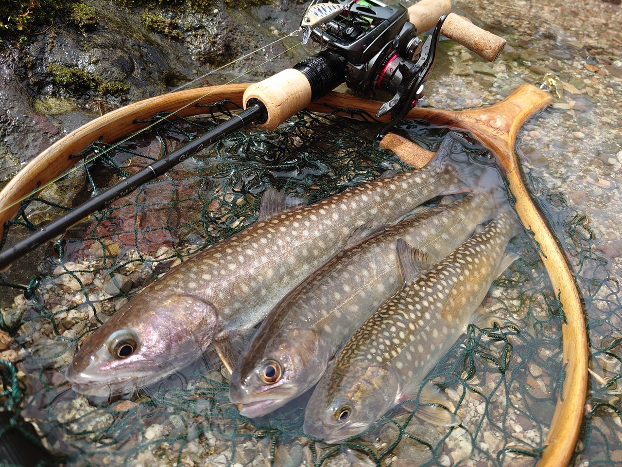 白神フィッシングガイド　～渓流釣り個別講習～