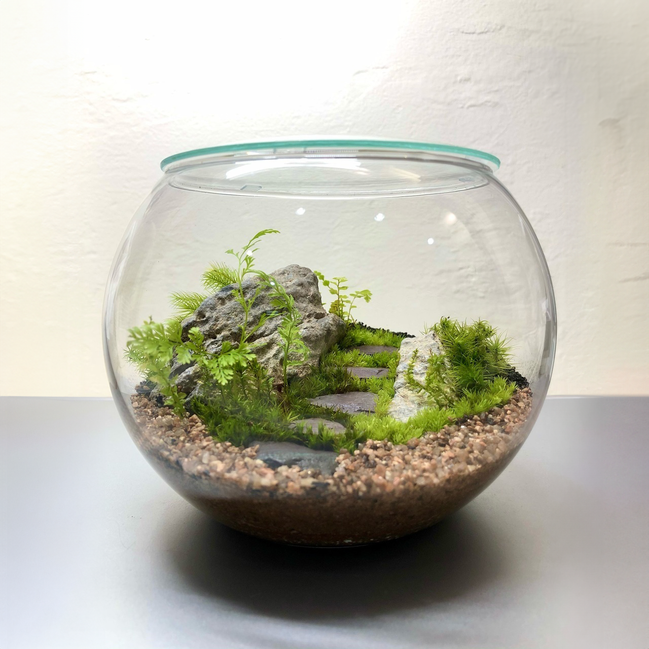 渋谷ヒカリエ 】中型編 苔テラリウムワークショップ FeelTheGarden