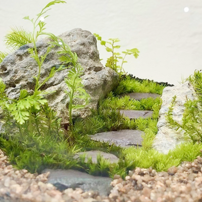 【 渋谷ヒカリエ 】中型編　苔テラリウムワークショップ　FeelTheGarden