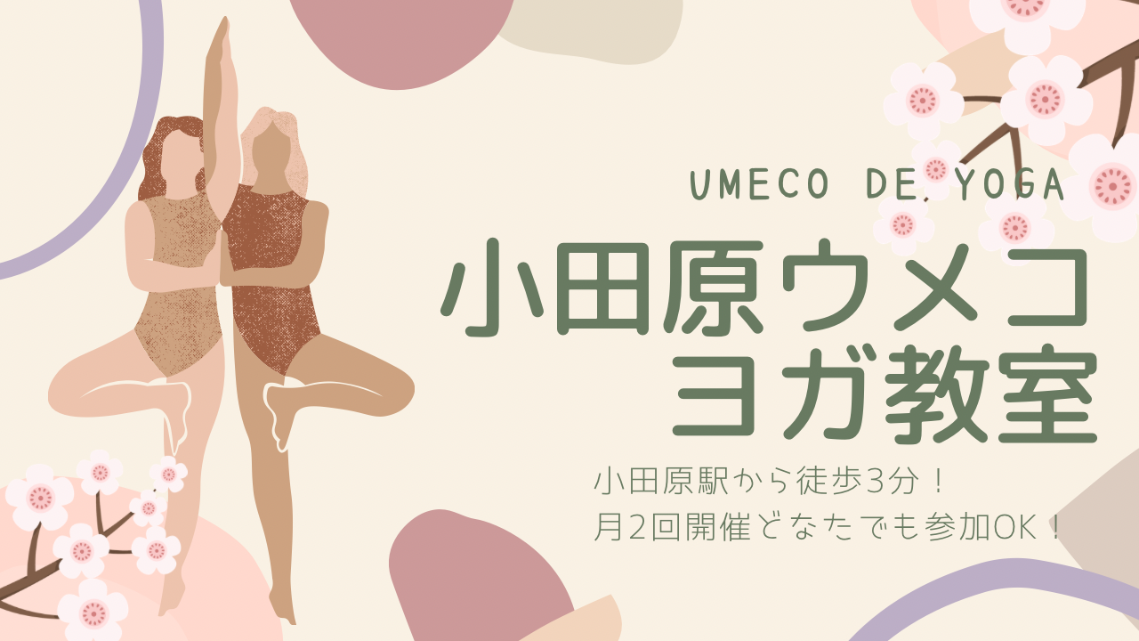 ハタヨガ＠小田原