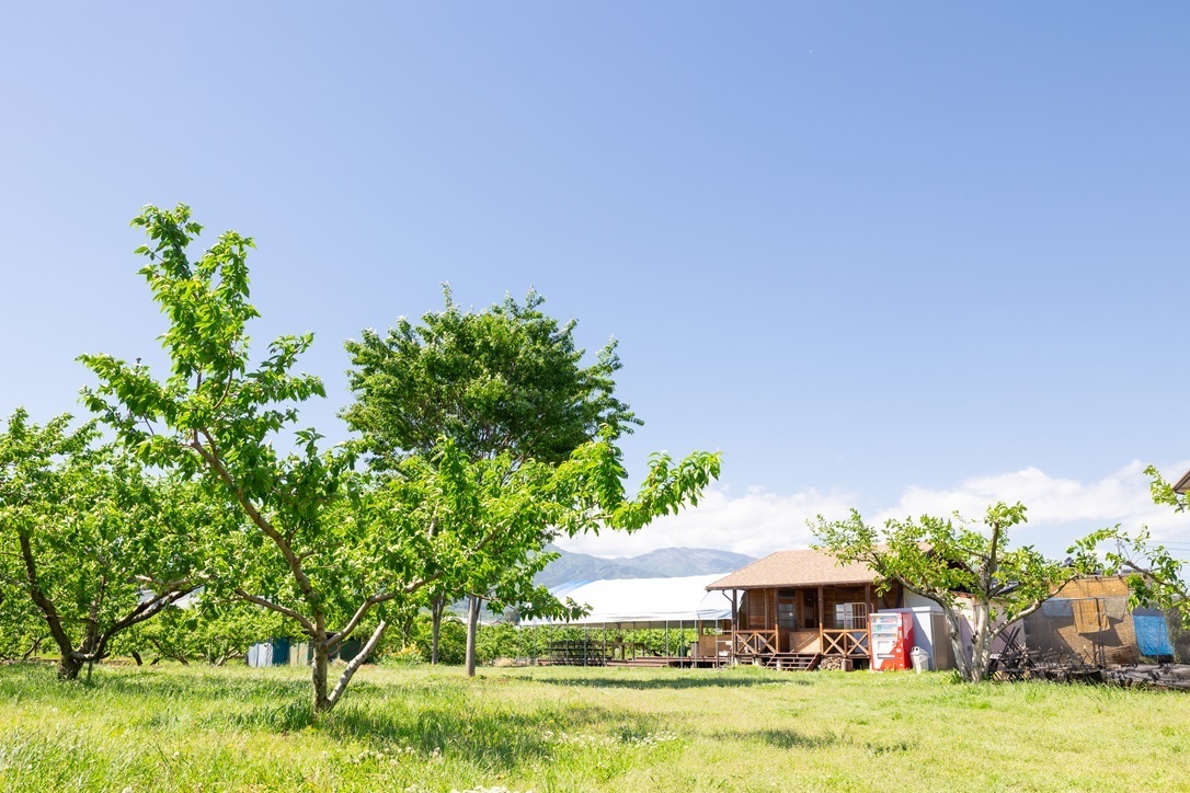 PESCA−SHOP【お食事】【桃食べ放題】のご予約はこちら（７日前までのご予約はお電話にてお問い合わせください）