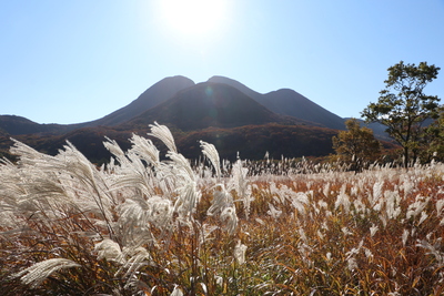 【九重】夜空のセラピーハイク