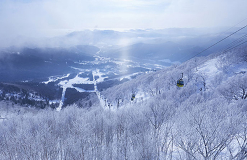 北海道トマムリゾートツアー 4日間