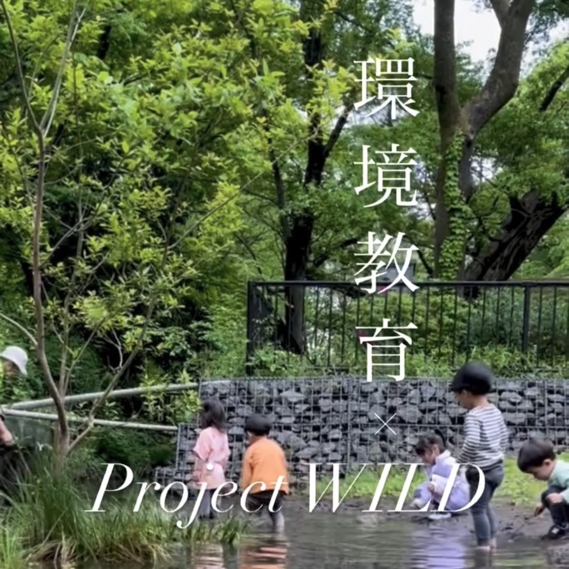 土曜保育 ~ 環境教育 × Project Wild