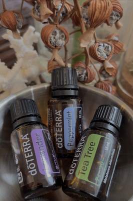 【information】ご予約前に下記をご確認下さい。