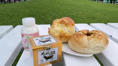 10月15日(土）【久住】秋の草花を探す草原探索ツアー