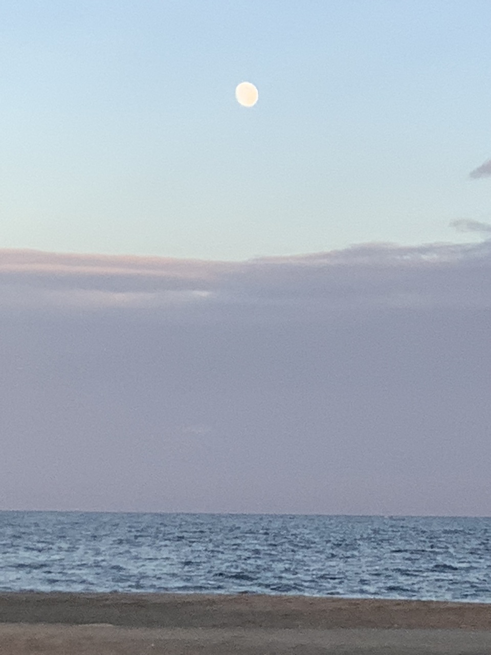 75分2025年禊ぎと感謝のヨガ🧘♀️